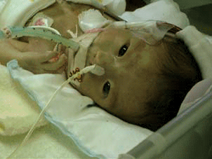 �ڂ����������I